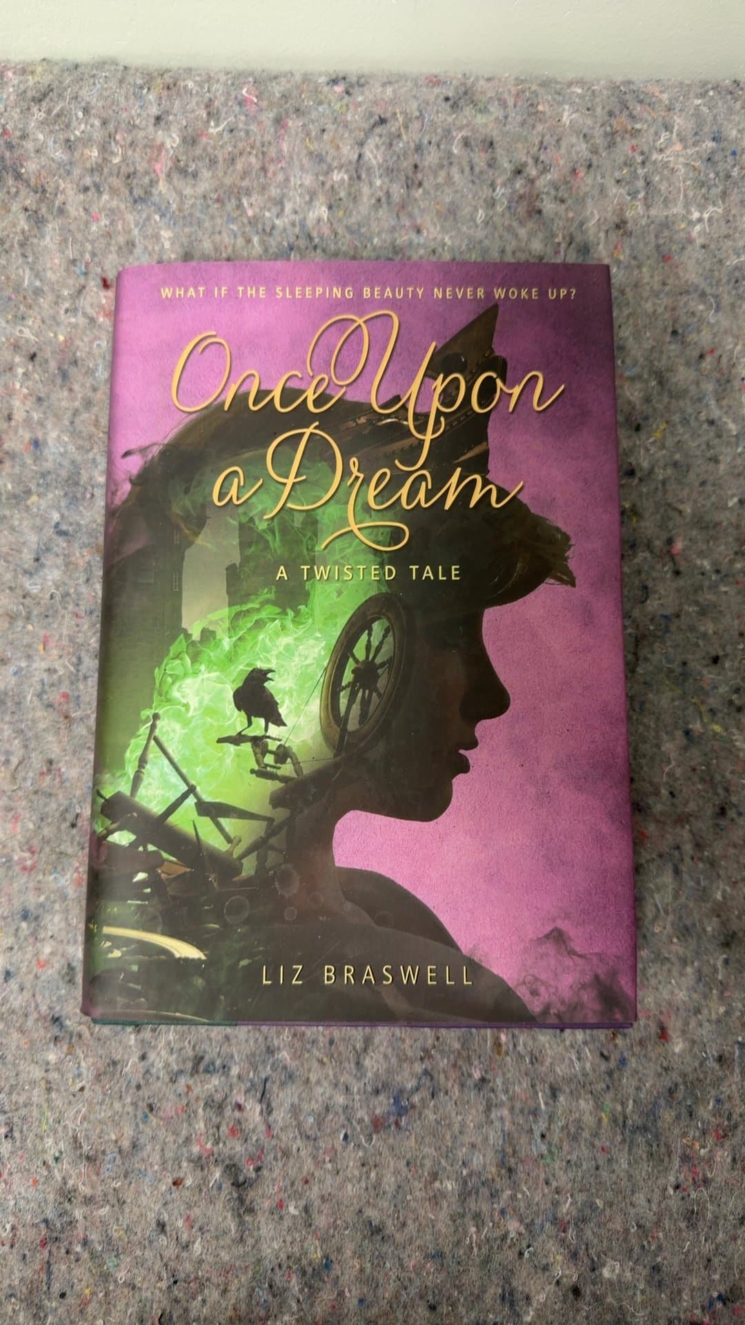 Once Upon a Dream: A Twisted Tale by Liz Braswell - Image 1