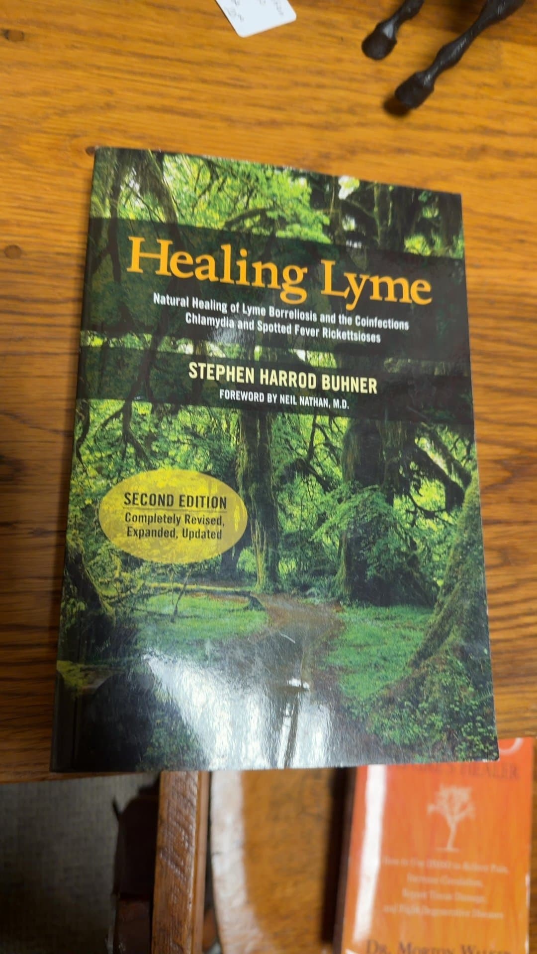Healing Lyme: Natural Healing of Lyme Borreliosis and the Coinfections - Image 1