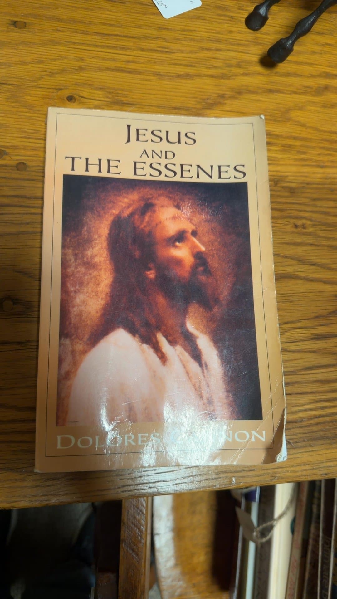 Jesus and the Essenes by Dolores Cannon - Image 1