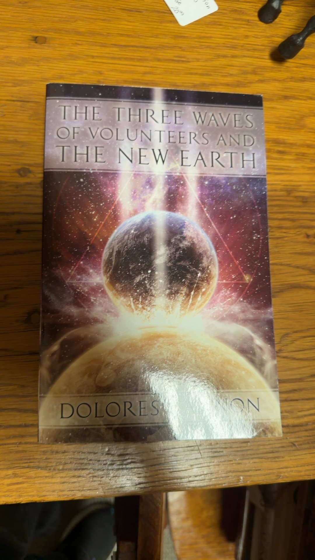 The Three Waves of Volunteers and the New Earth by Dolores Cannon - Image 1