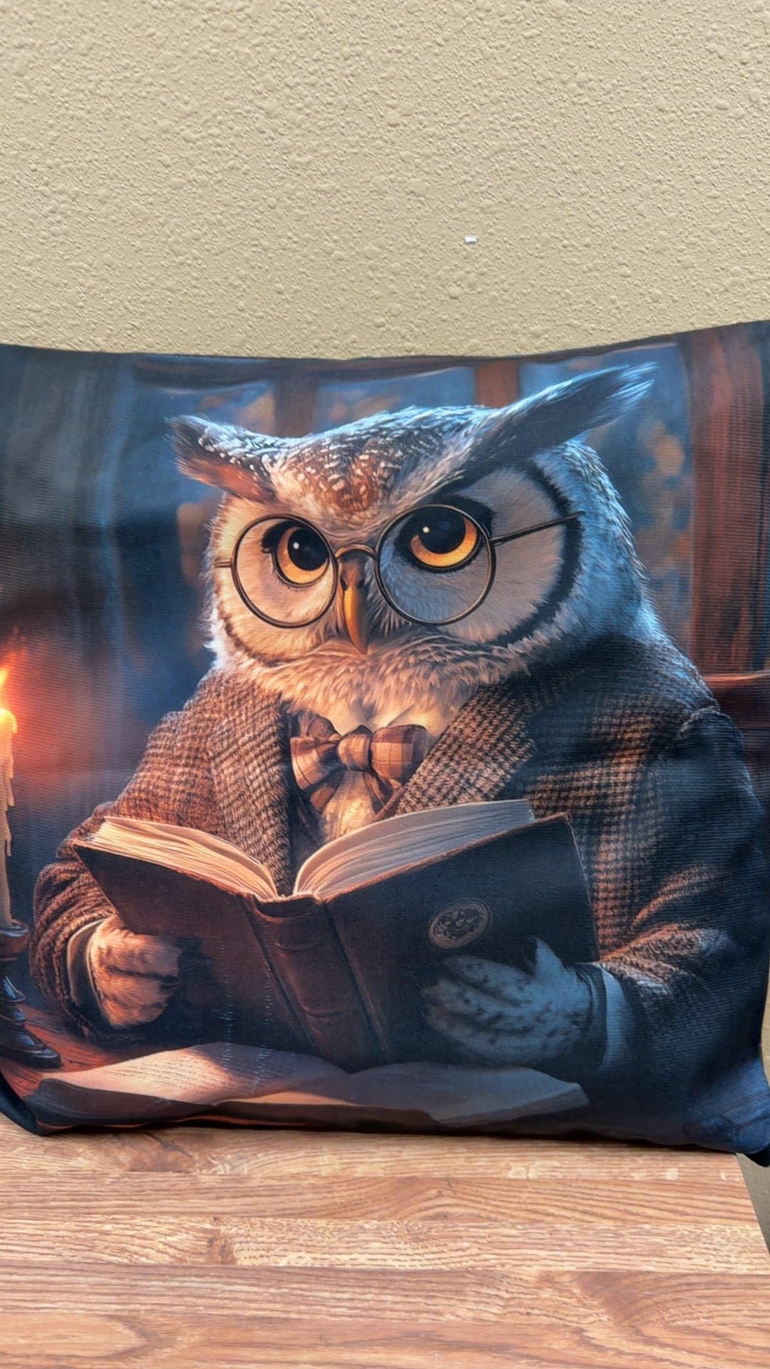 Owl Reading Book Decorative Pillow - Image 1