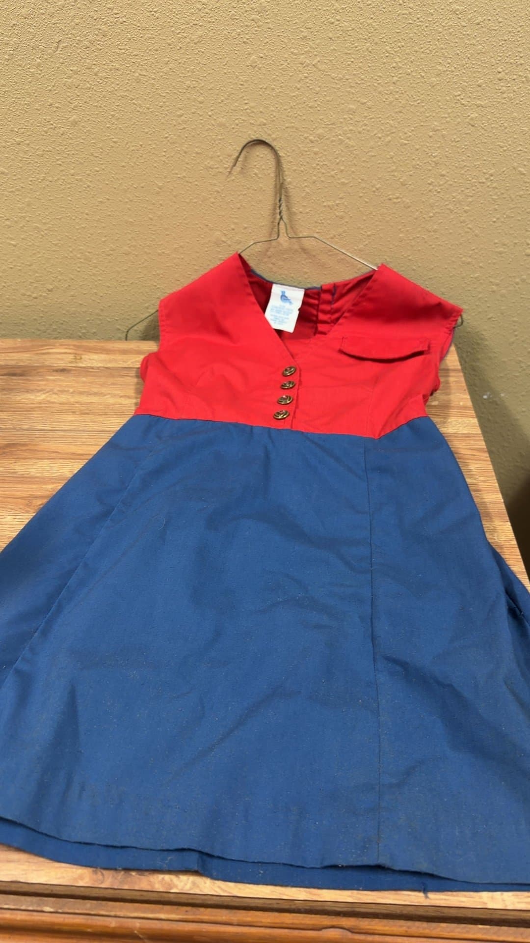 Vintage Red and Blue Day Dress - Image 1