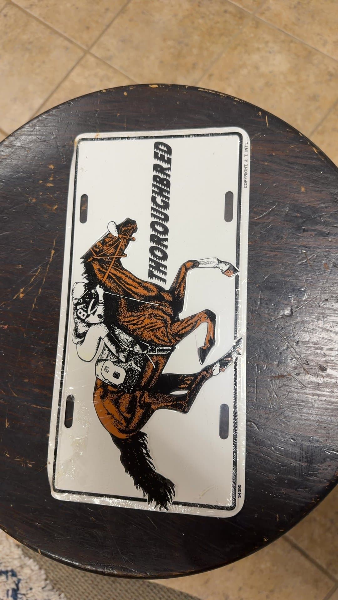 JT International Thoroughbred Racehorse Embossed Metal License Plate Tag - Image 1
