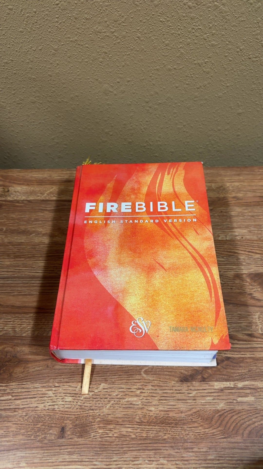 FireBible English Standard Version - Image 1
