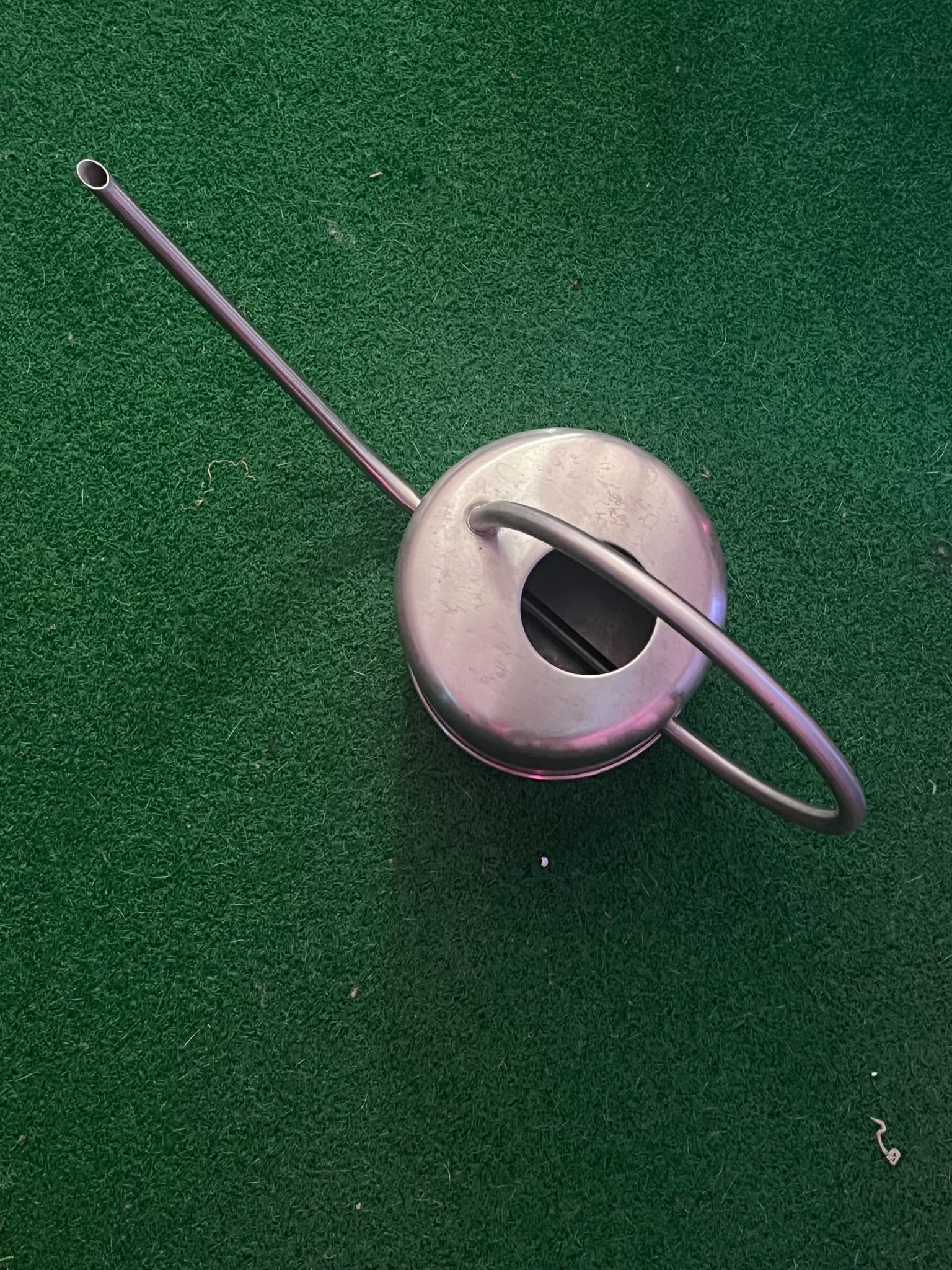 Stainless Steel Watering Can
