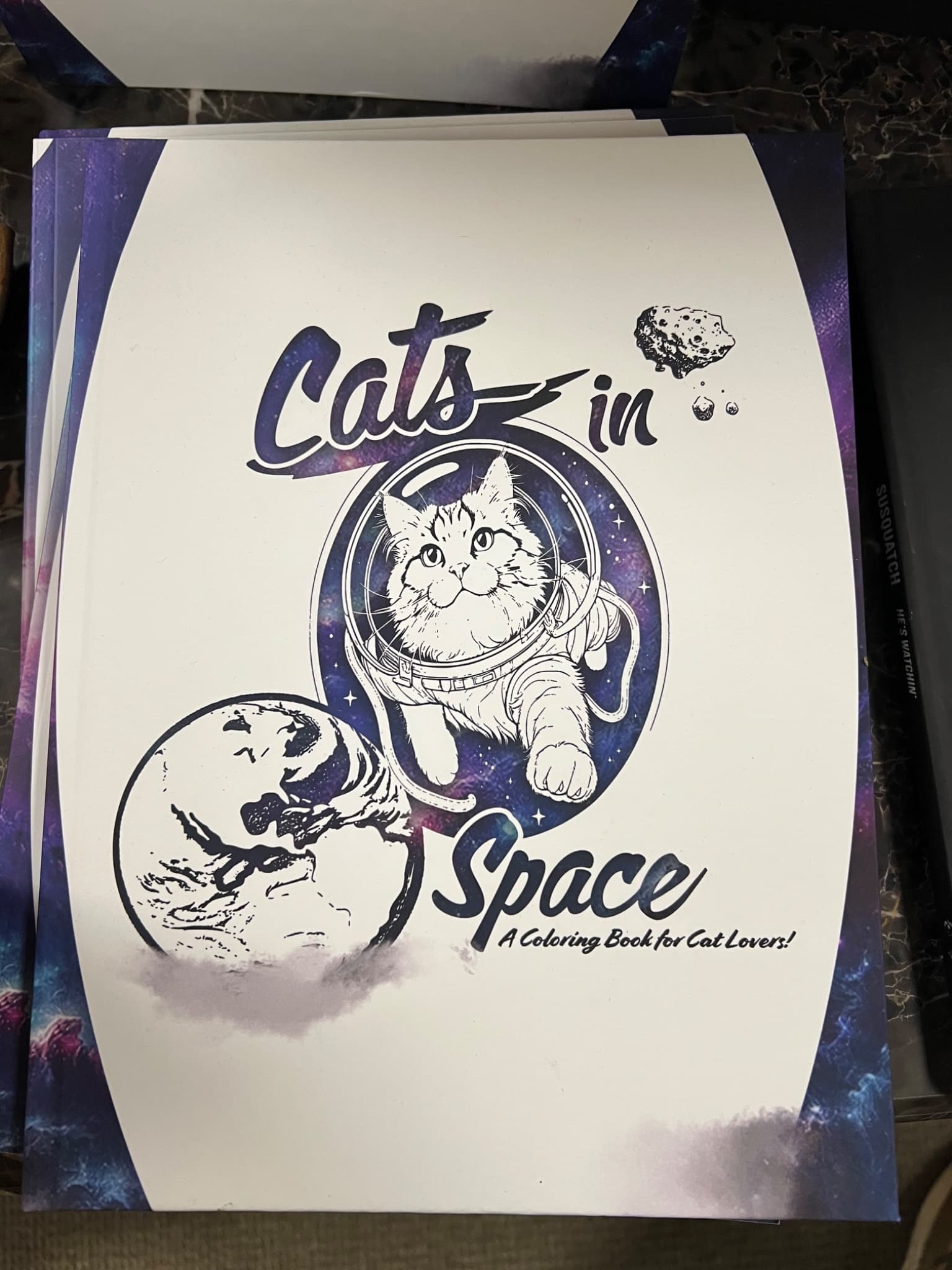 Cats in Space Coloring Book